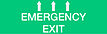 Photoluminescent Emergency Exit