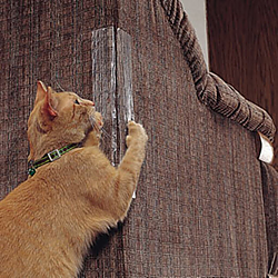 FindTape CSDT Cat Scratching Deterrent Tape [Double-Sided]