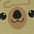 Llama