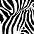 Zebra / Zig-Zag (Black & White)