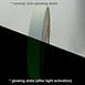 Wooster NiteGlow Flex-Tred Glow-in-the-Dark Anti-Slip Tape (1 x 60)